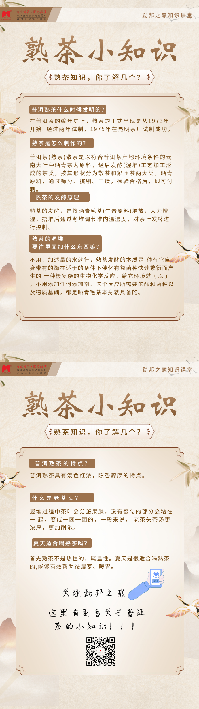 熟茶干貨.png