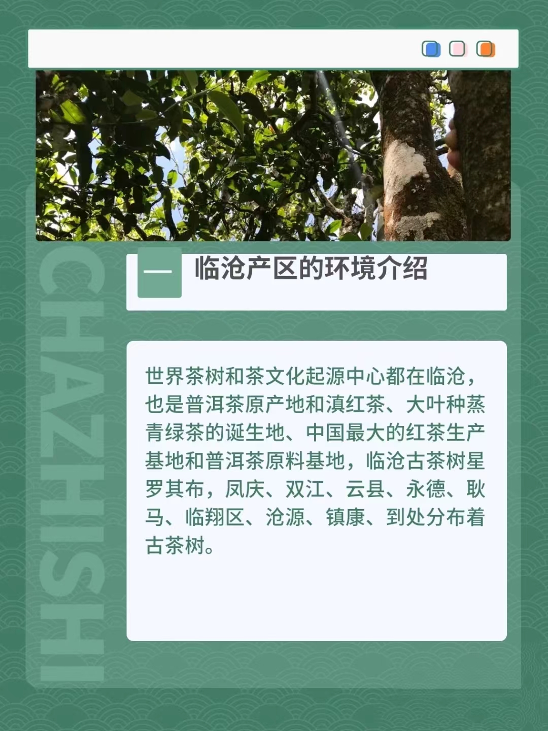 臨滄4.jpg