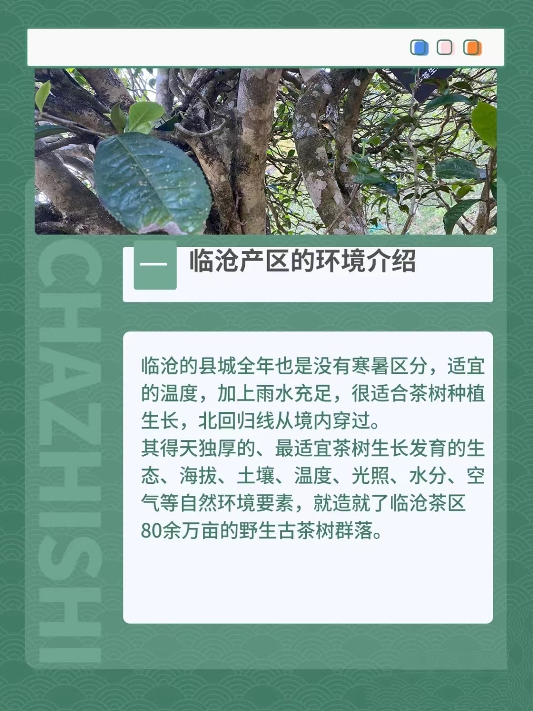 臨滄3.jpg
