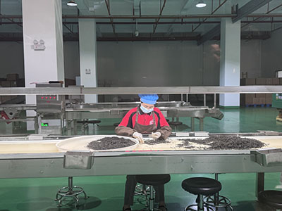 6aa5d7dd3979fdb720af462da98c1167-sz_5575662